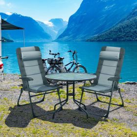 2 Pieces Patio Folding Dining Chair set with Adjustable Backrest (Color: Gray)
